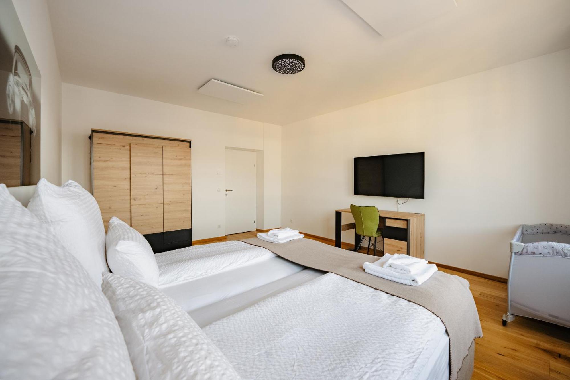 Tamliving Center Luxury 4 Rooms Smart Tv Kitchen Great View Graz Buitenkant foto